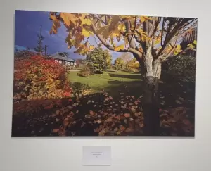 Фотография Русский музей фотографии 1